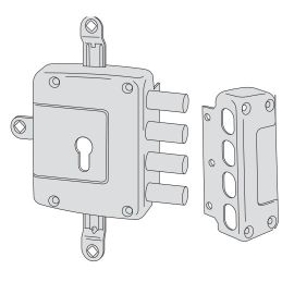 Safety lock to be applied CISA 56172 quintuple European cylinder