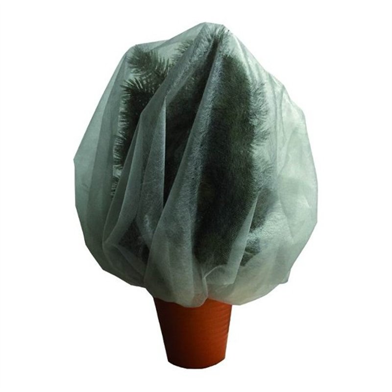 Protective sheet for plants TNT bridal veil cm. 60x80 6pcs