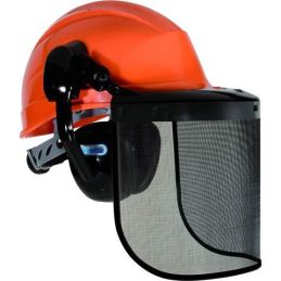 Forestier-2 Deltaplus helmet with visor and protective