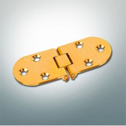 Brass biscuit hinge with latch 3465