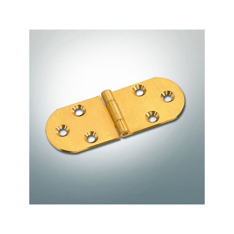 Brass biscuit hinge without stop 3461