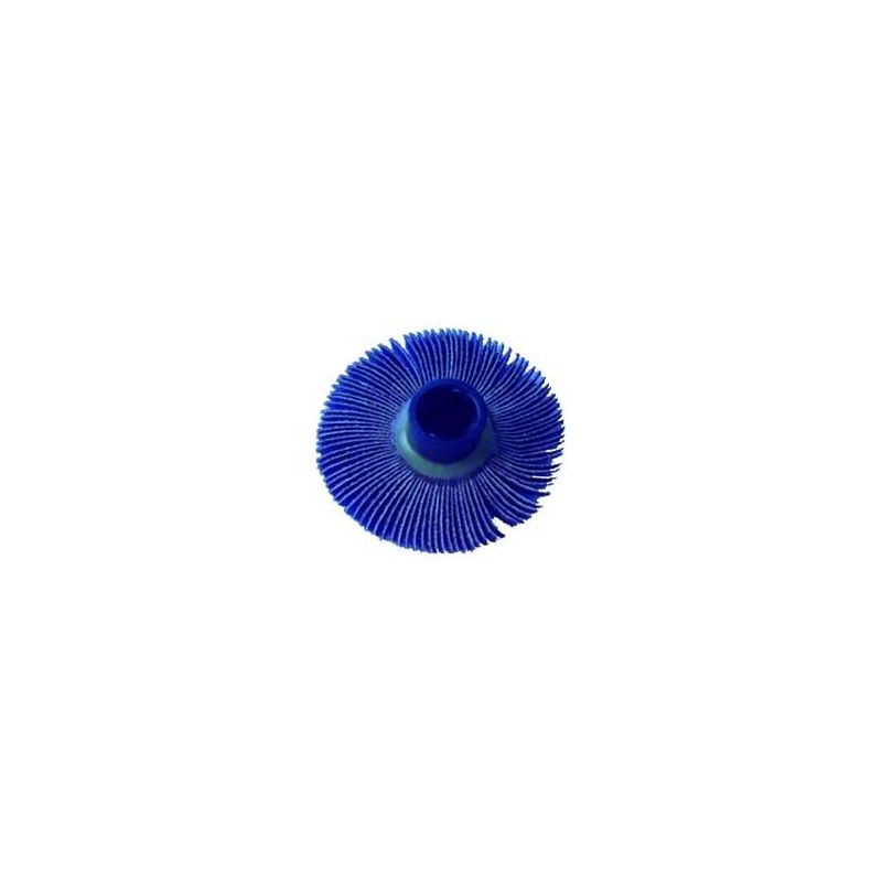 Abrasive brush 60x10 replacement for Vigor ROLLY