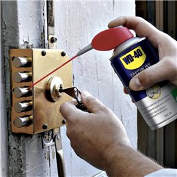 WD-40 Specialist - Lubrificante SERRATURE anticorrosivo ml.250