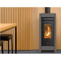 Thermorossi Essenza Evo Wood Metalcolor 10.1Kw ductable and ventilated wood stove