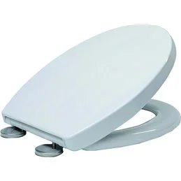 Universal toilet seat with slow descent VIGOR DETROIT