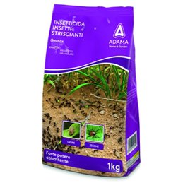 Insetticida in polvere contro blatte, formiche, cimici GEOTOX