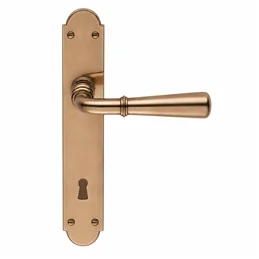 Colombo Design Accademia KAC11PB – Maniglia per Porta su Placca in Ottone Antologhia