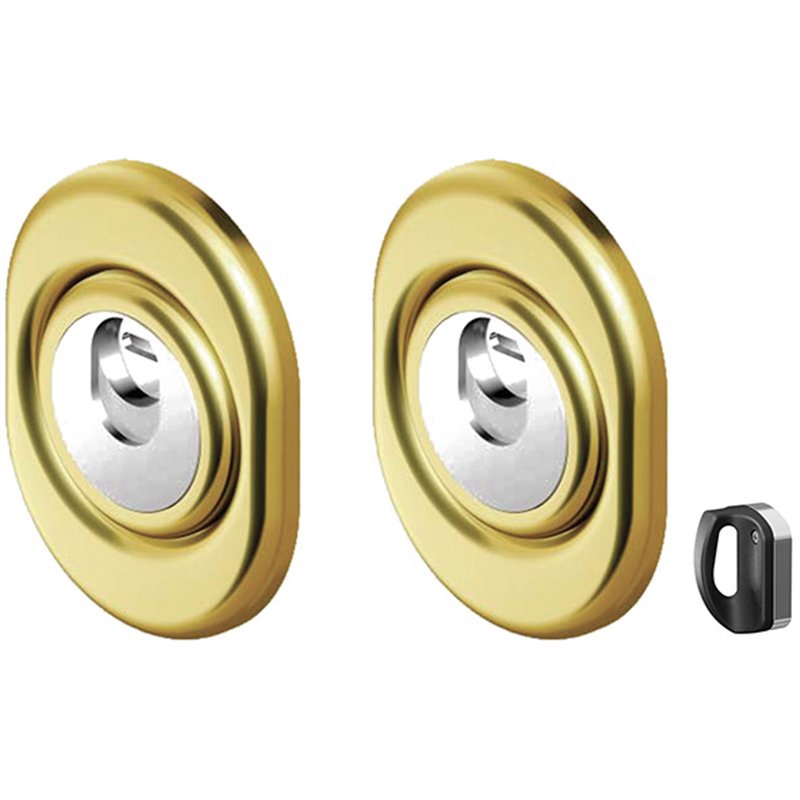 DISEC MR500F-25D1 – Keyed Alike Pair of Magnetic Euro Cylinder Protectors, 6 Matching Keys